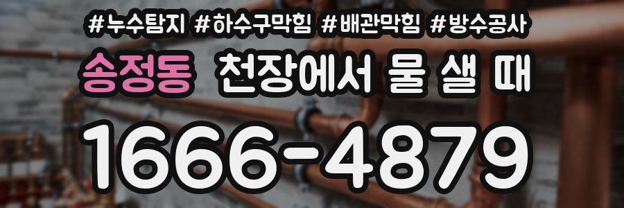 송정동 천장에서 물 샐 때