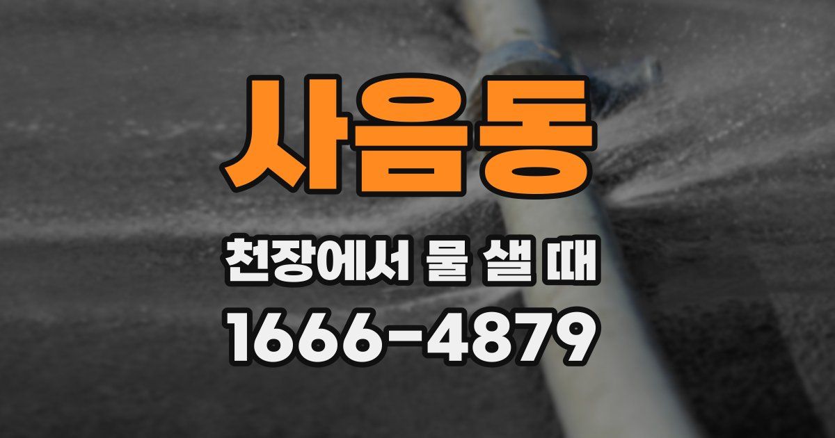 사음동 천장에서 물 샐 때