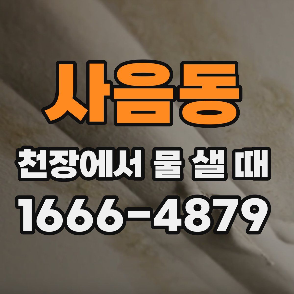 사음동 천장에서 물 샐 때