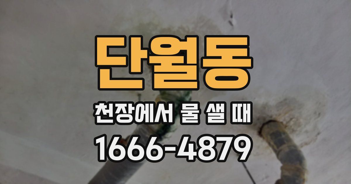 단월동 천장에서 물 샐 때