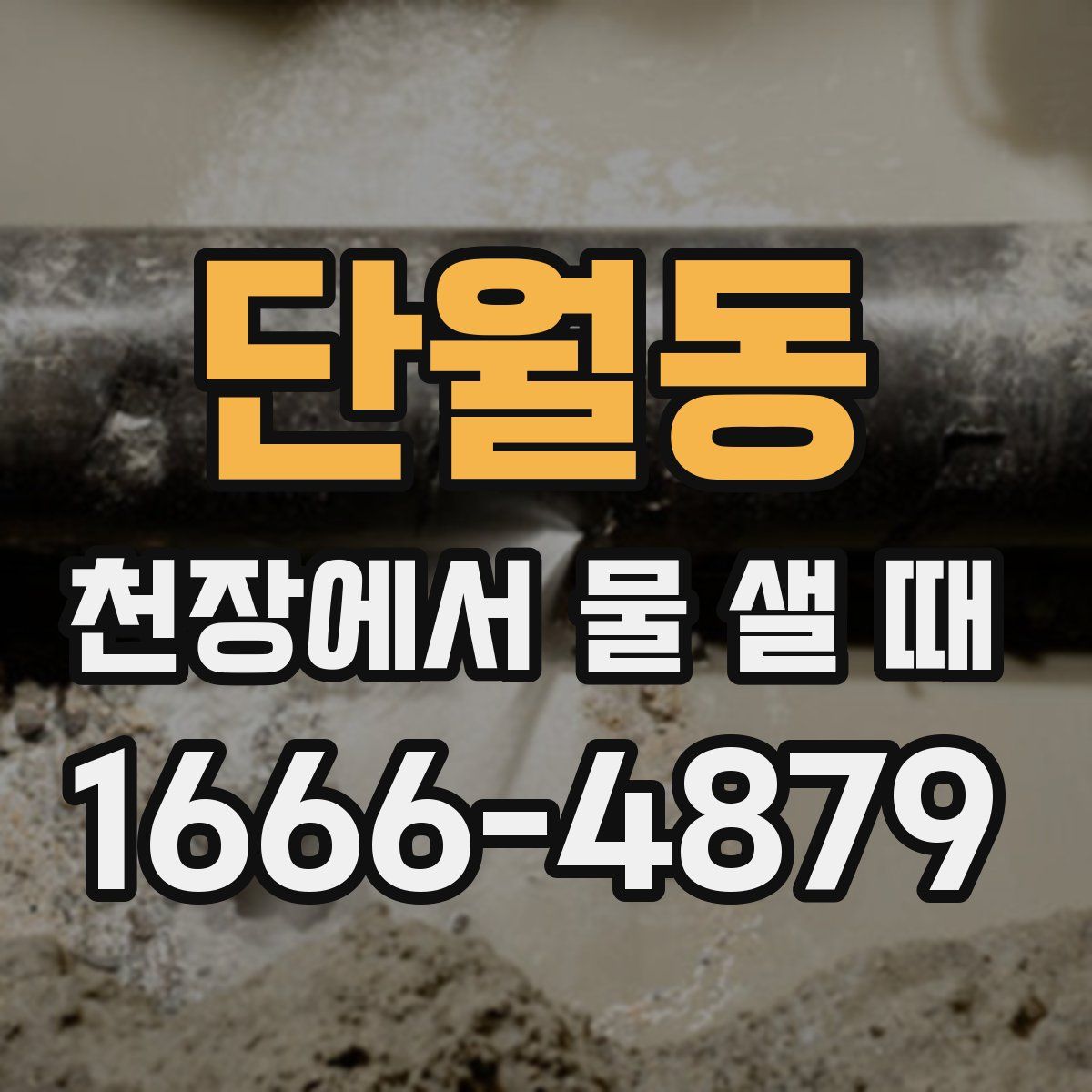 단월동 천장에서 물 샐 때