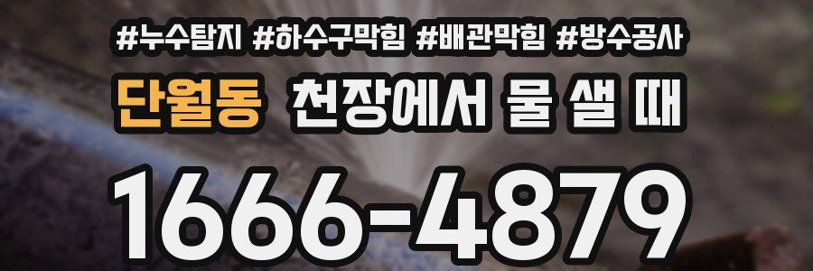 단월동 천장에서 물 샐 때