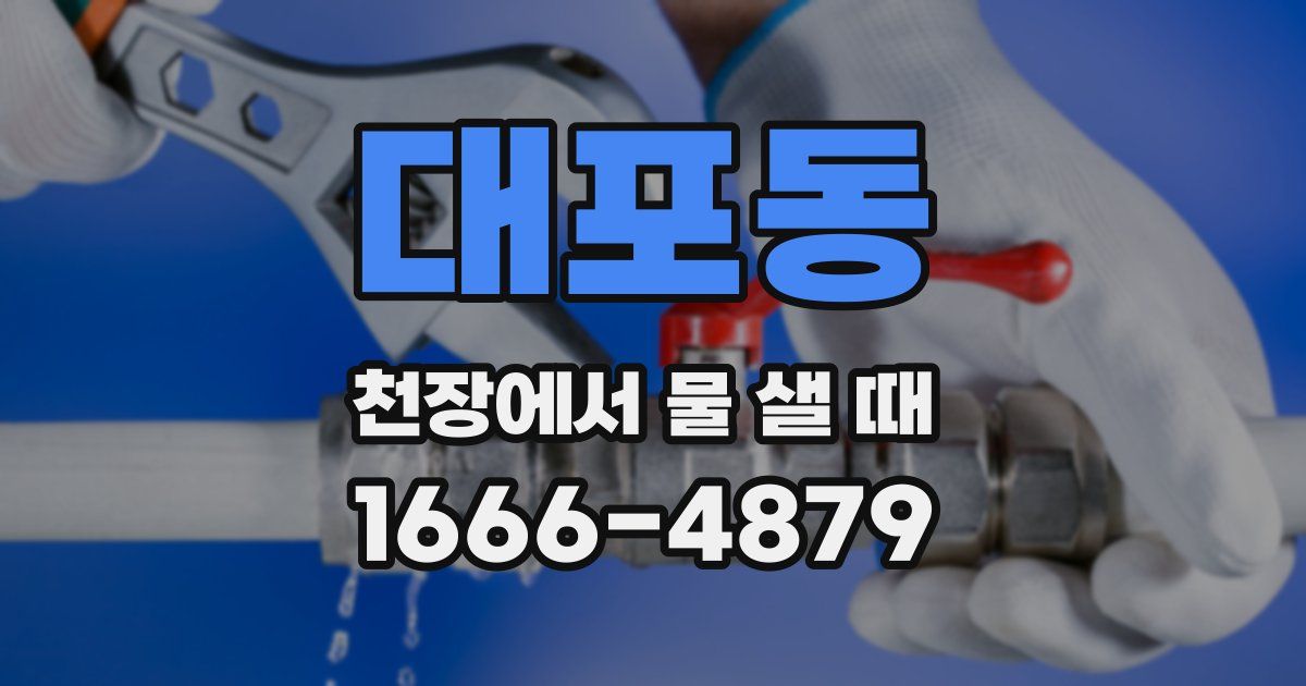 대포동 천장에서 물 샐 때