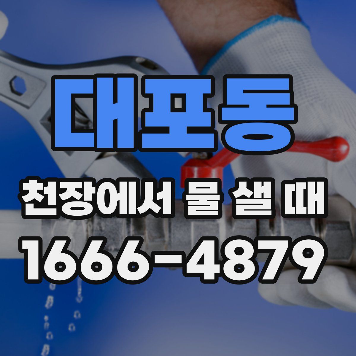 대포동 천장에서 물 샐 때