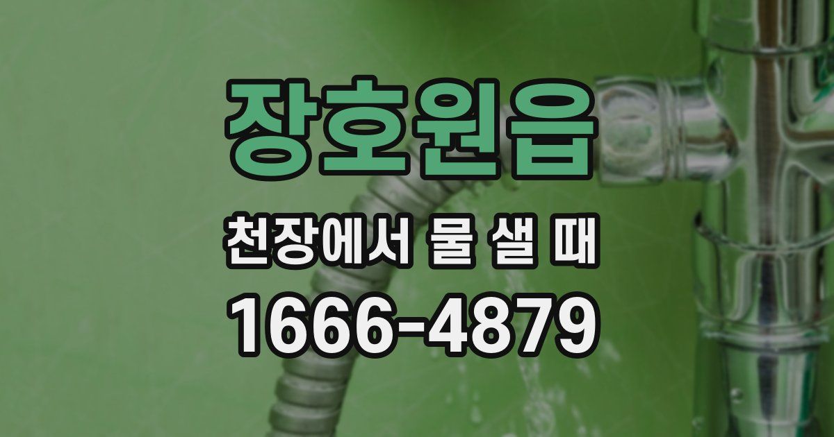 장호원읍 천장에서 물 샐 때