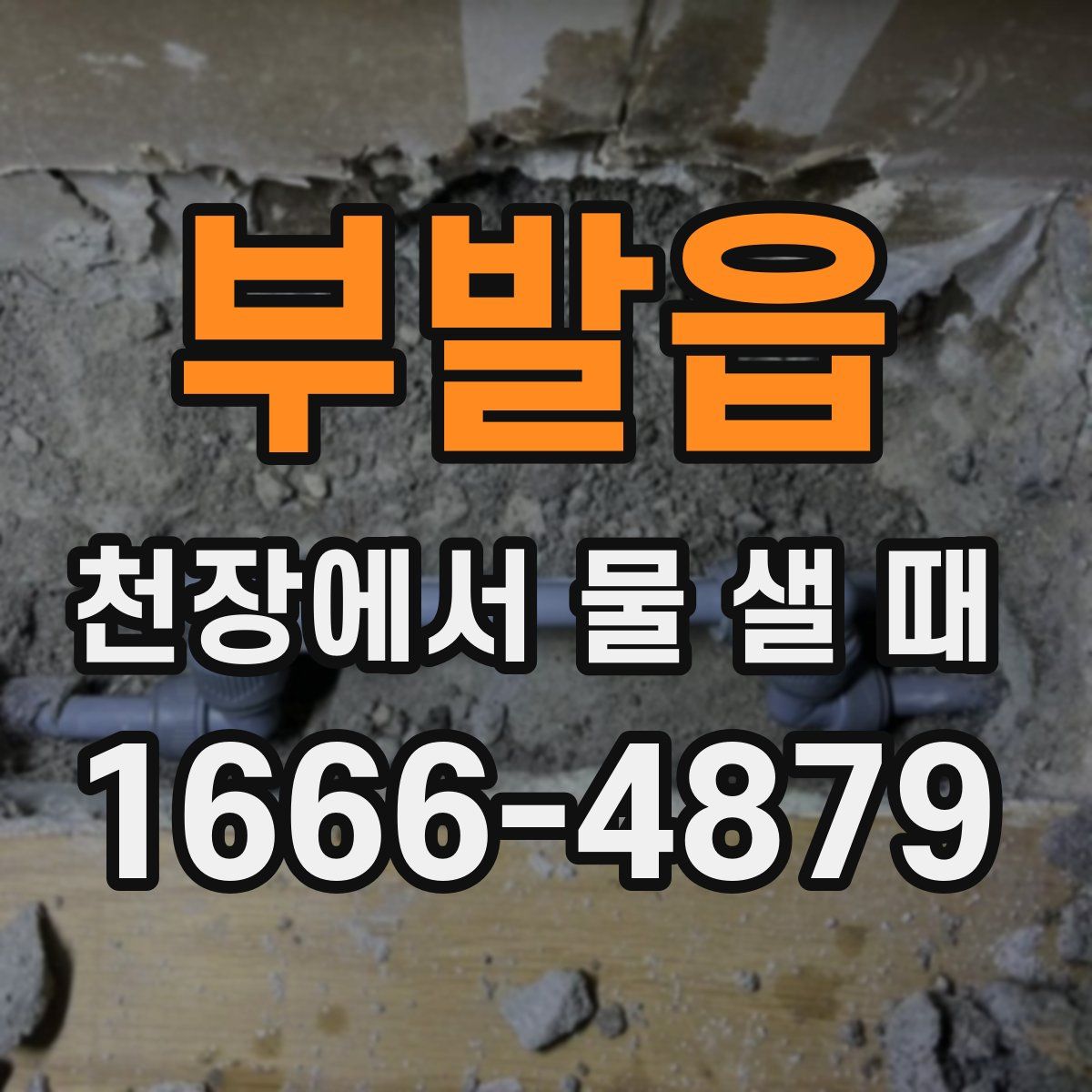 부발읍 천장에서 물 샐 때
