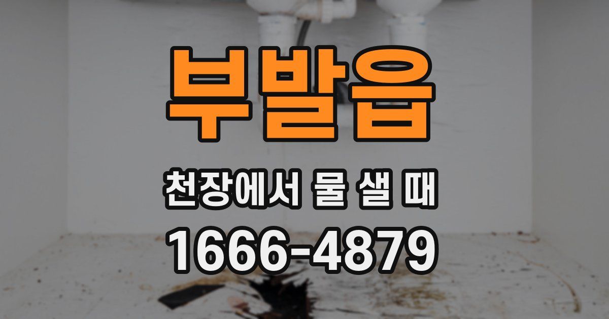부발읍 천장에서 물 샐 때
