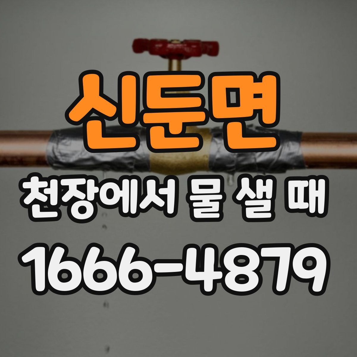 신둔면 천장에서 물 샐 때