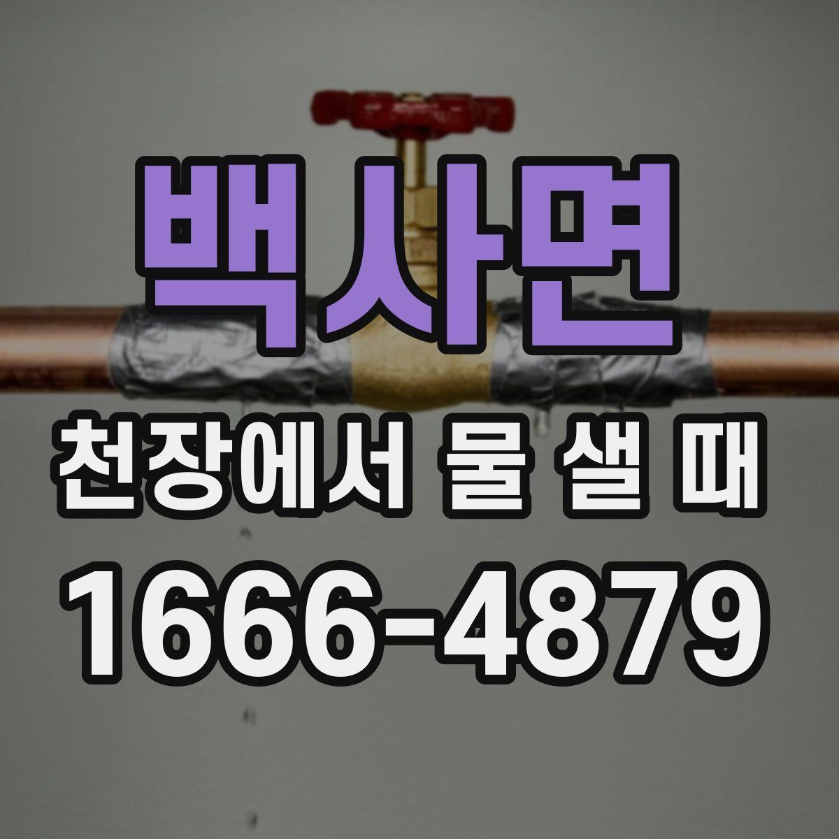 백사면 천장에서 물 샐 때