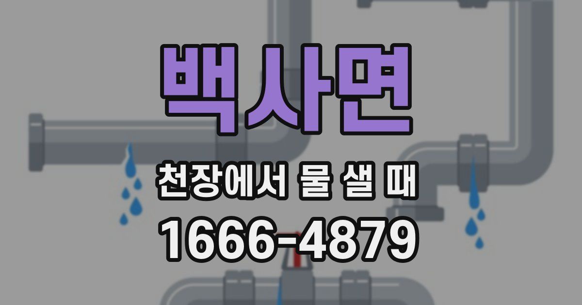 백사면 천장에서 물 샐 때