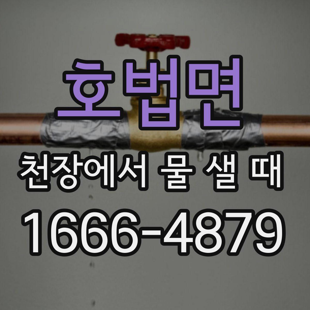 호법면 천장에서 물 샐 때