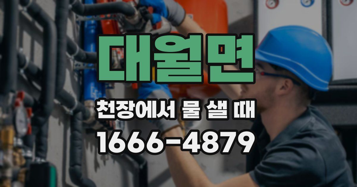 대월면 천장에서 물 샐 때