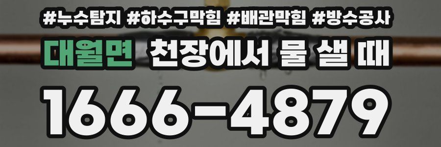 대월면 천장에서 물 샐 때