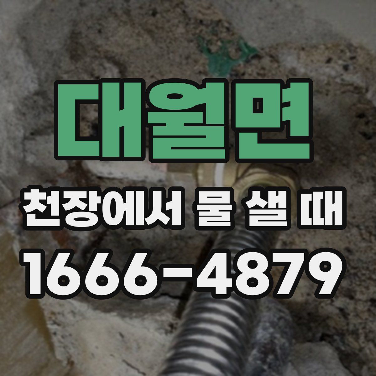 대월면 천장에서 물 샐 때