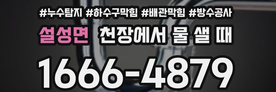 설성면 천장에서 물 샐 때
