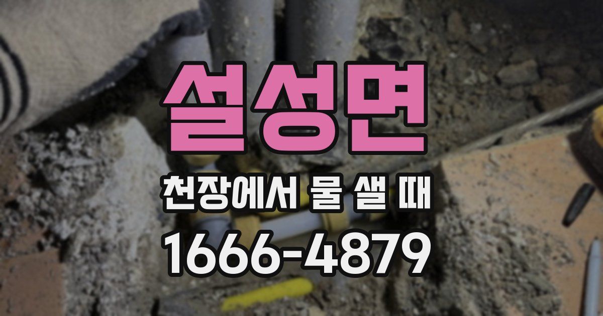 설성면 천장에서 물 샐 때