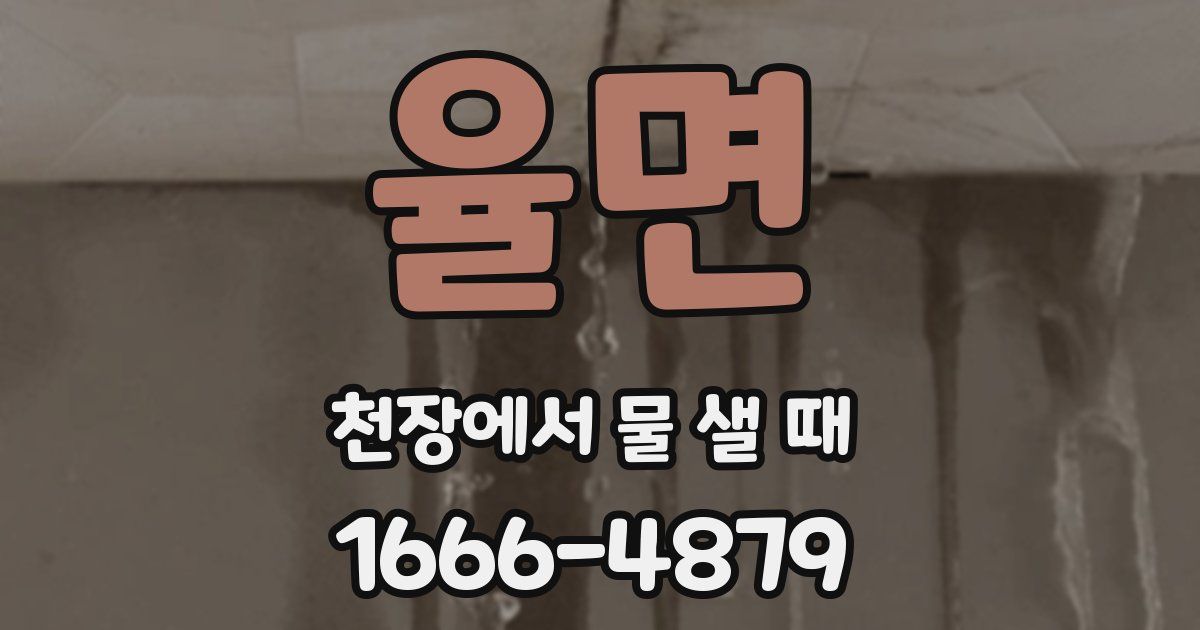 율면 천장에서 물 샐 때