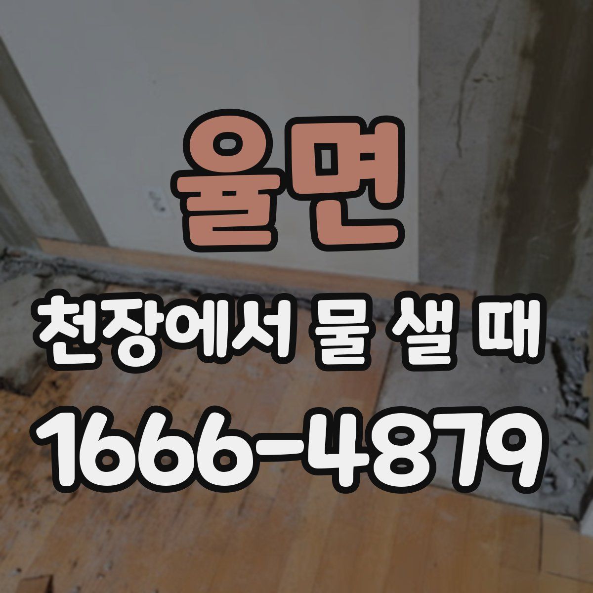 율면 천장에서 물 샐 때