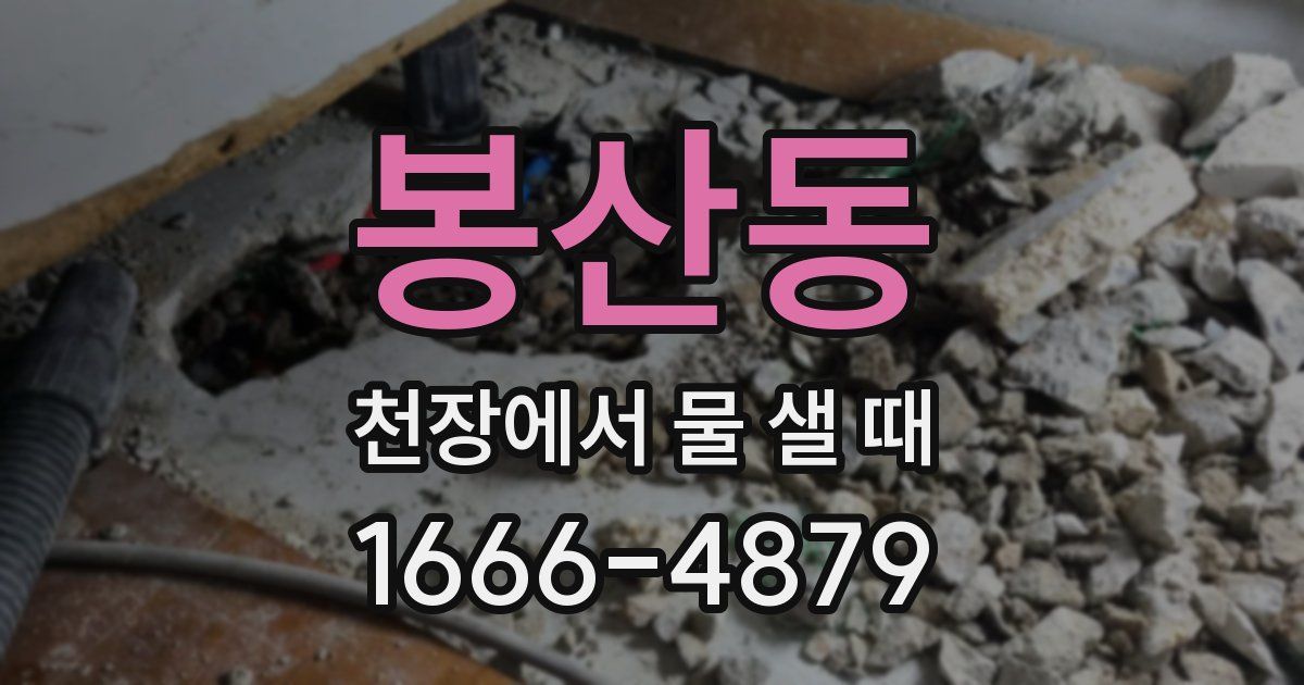 봉산동 천장에서 물 샐 때
