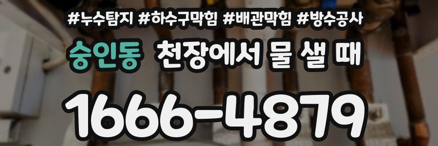 숭인동 천장에서 물 샐 때