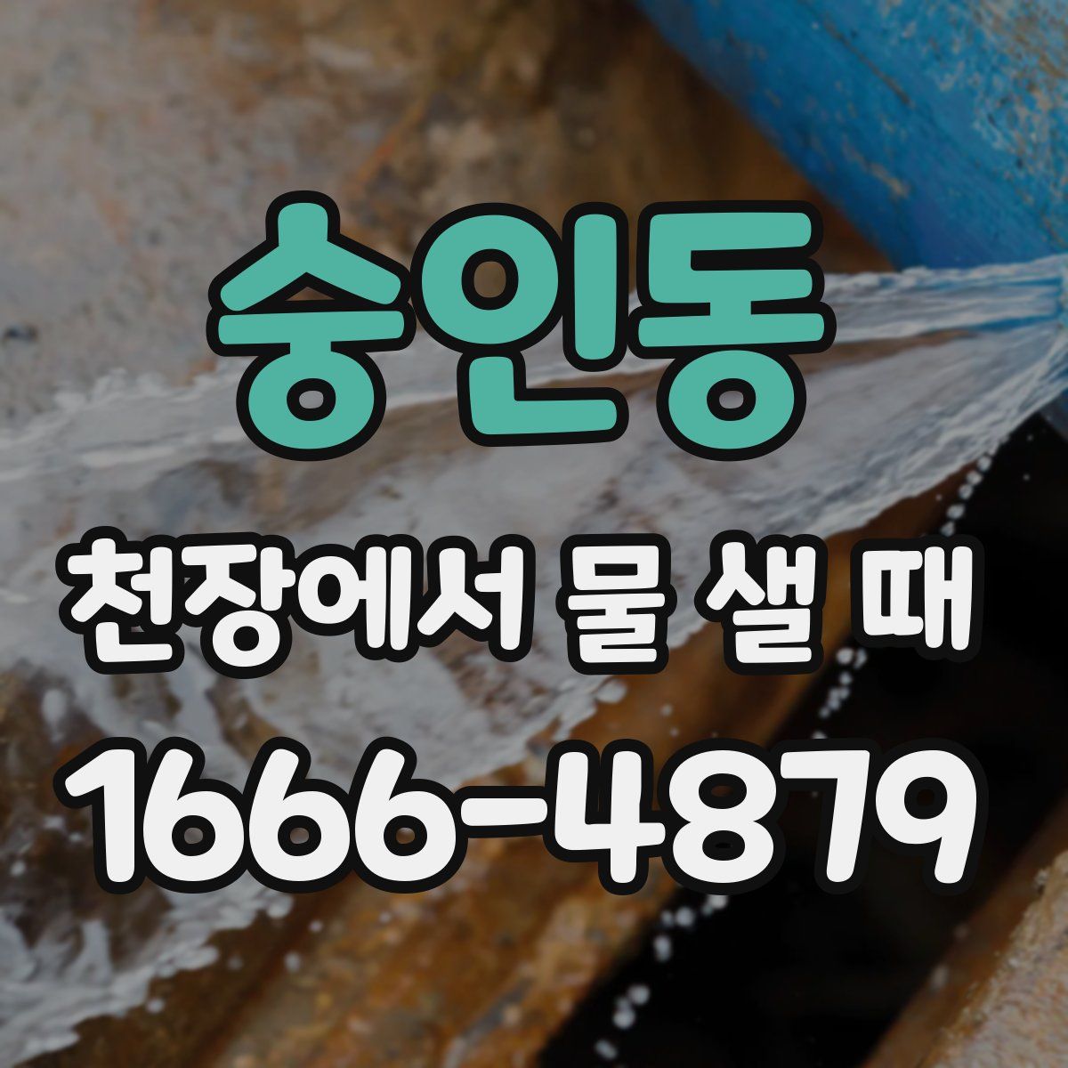 숭인동 천장에서 물 샐 때