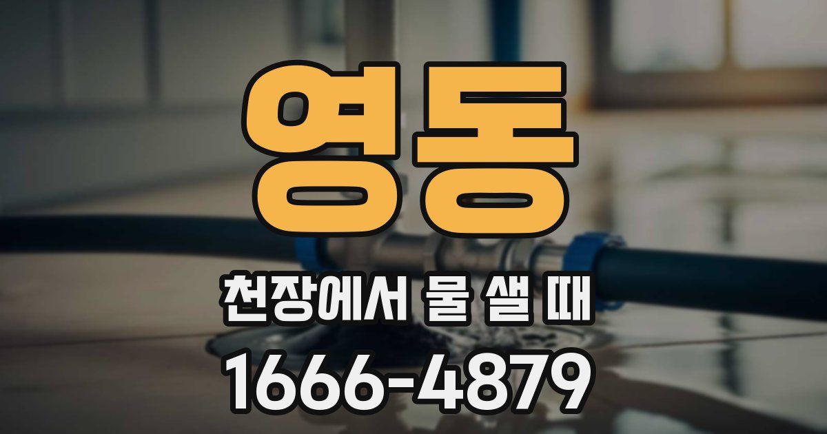 영동 천장에서 물 샐 때