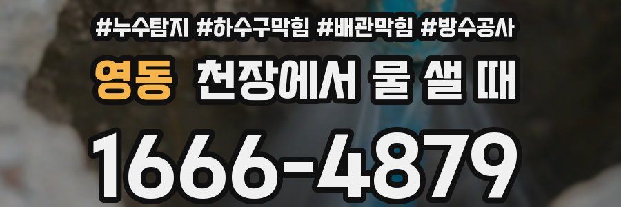 영동 천장에서 물 샐 때