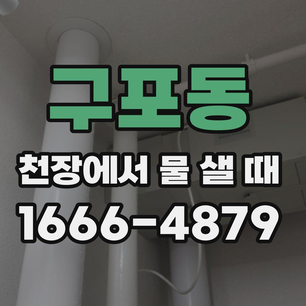 구포동 천장에서 물 샐 때