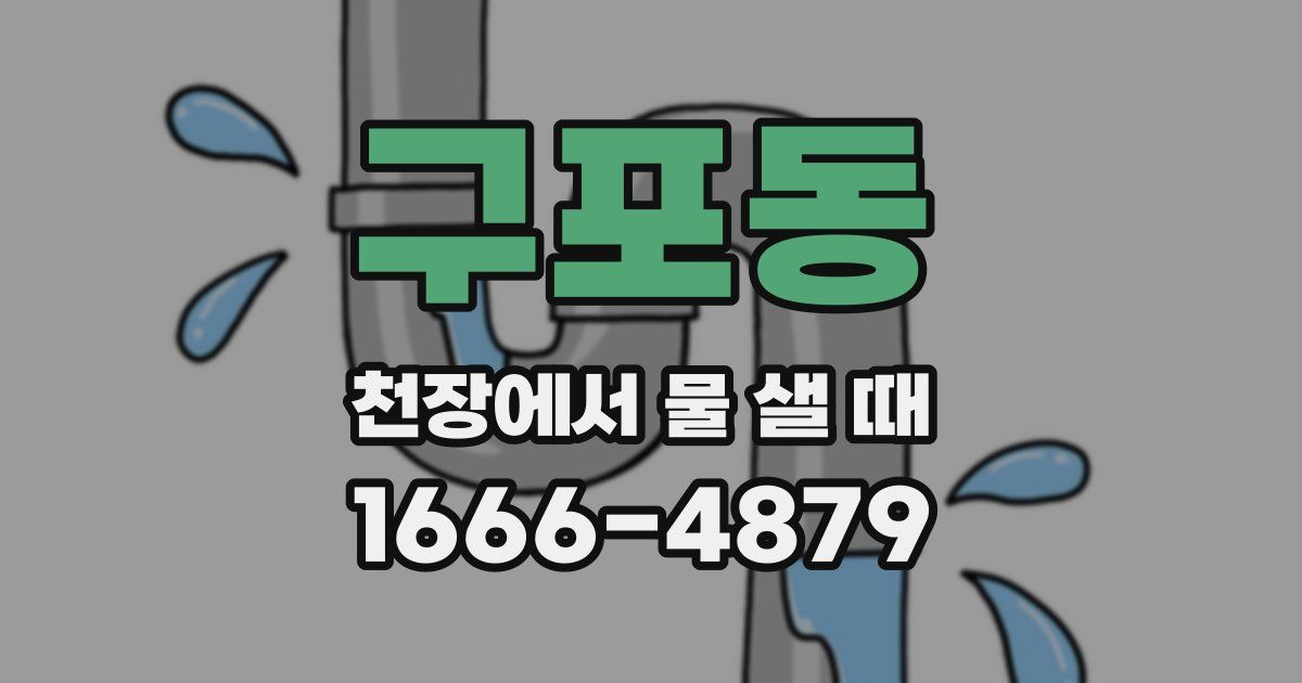 구포동 천장에서 물 샐 때