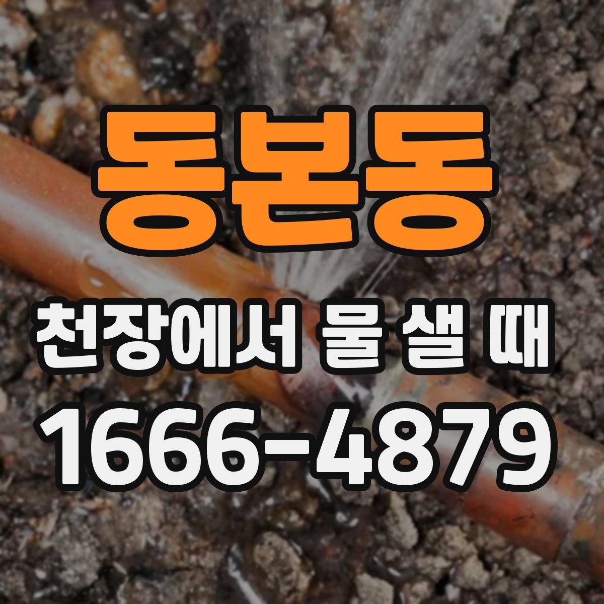 동본동 천장에서 물 샐 때