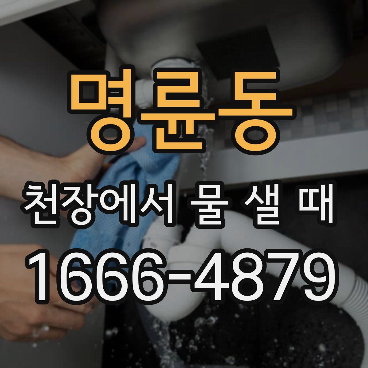 명륜동 천장에서 물 샐 때