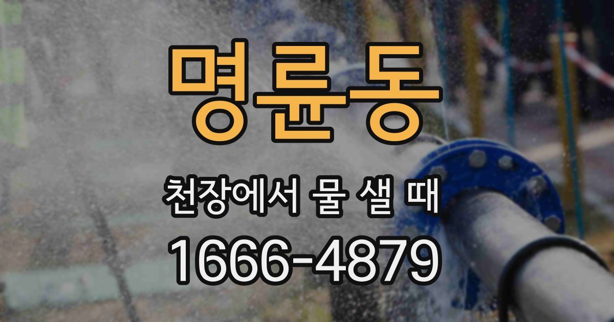 명륜동 천장에서 물 샐 때