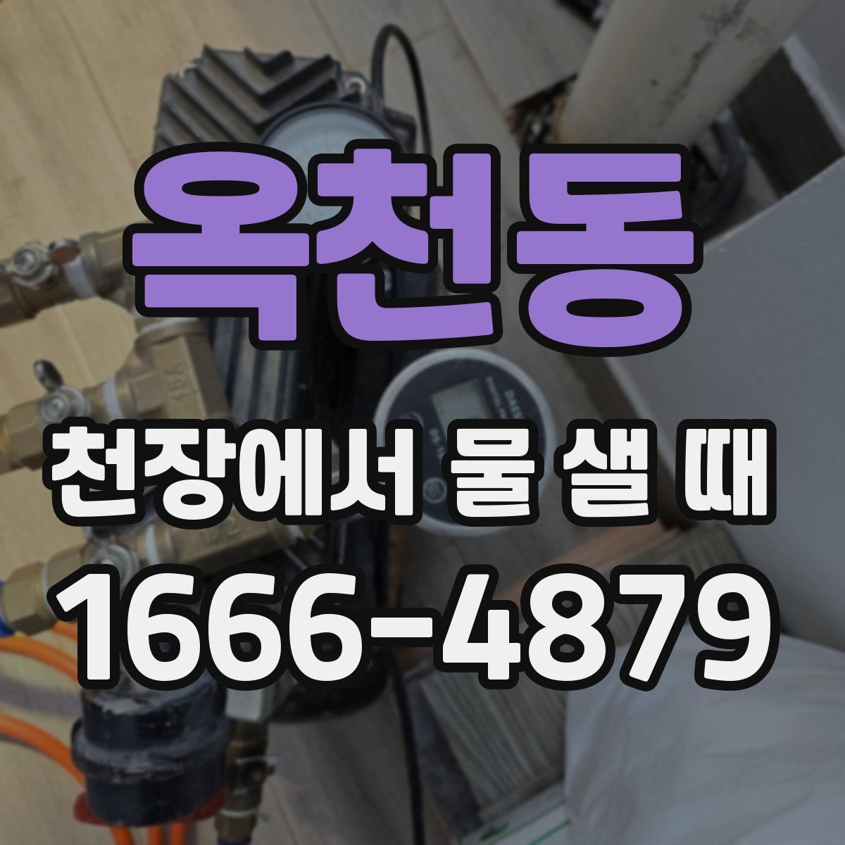 옥천동 천장에서 물 샐 때