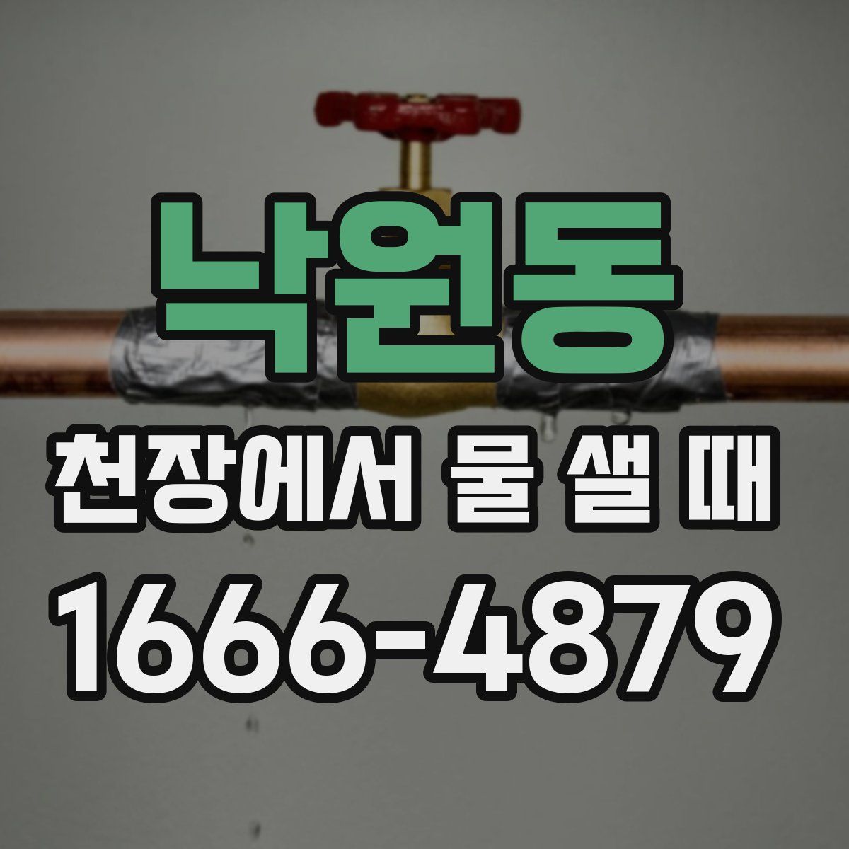낙원동 천장에서 물 샐 때