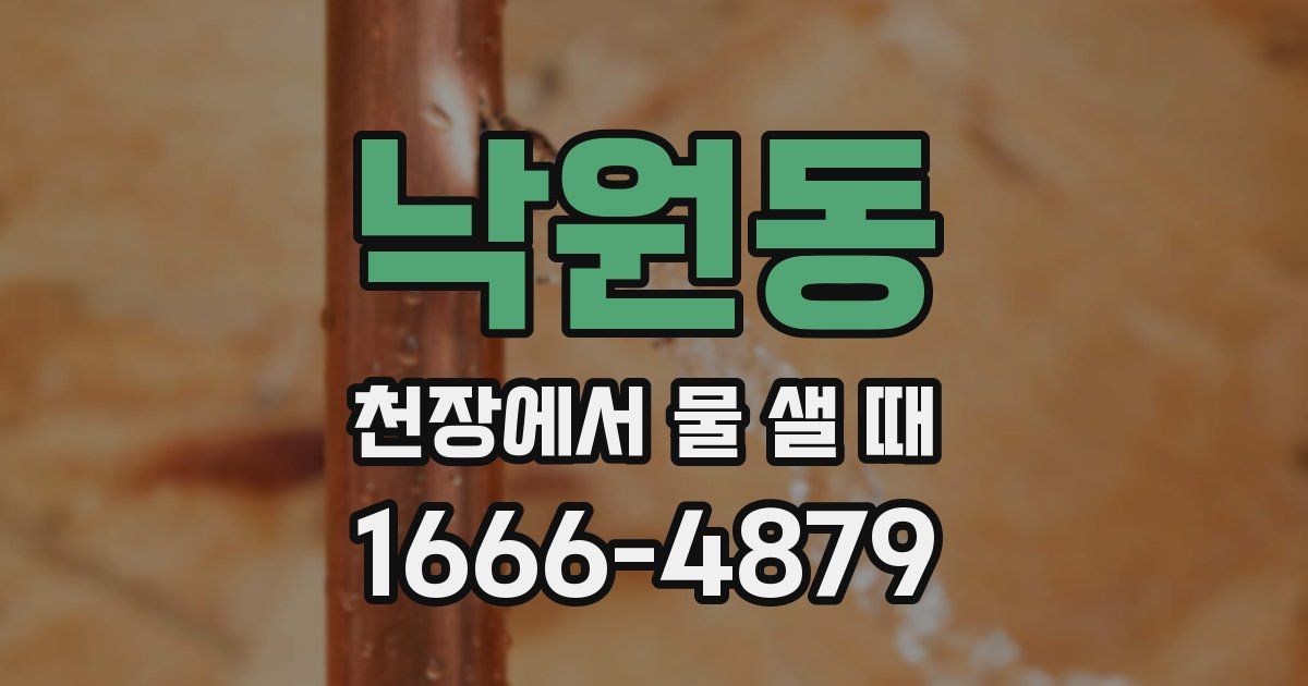 낙원동 천장에서 물 샐 때