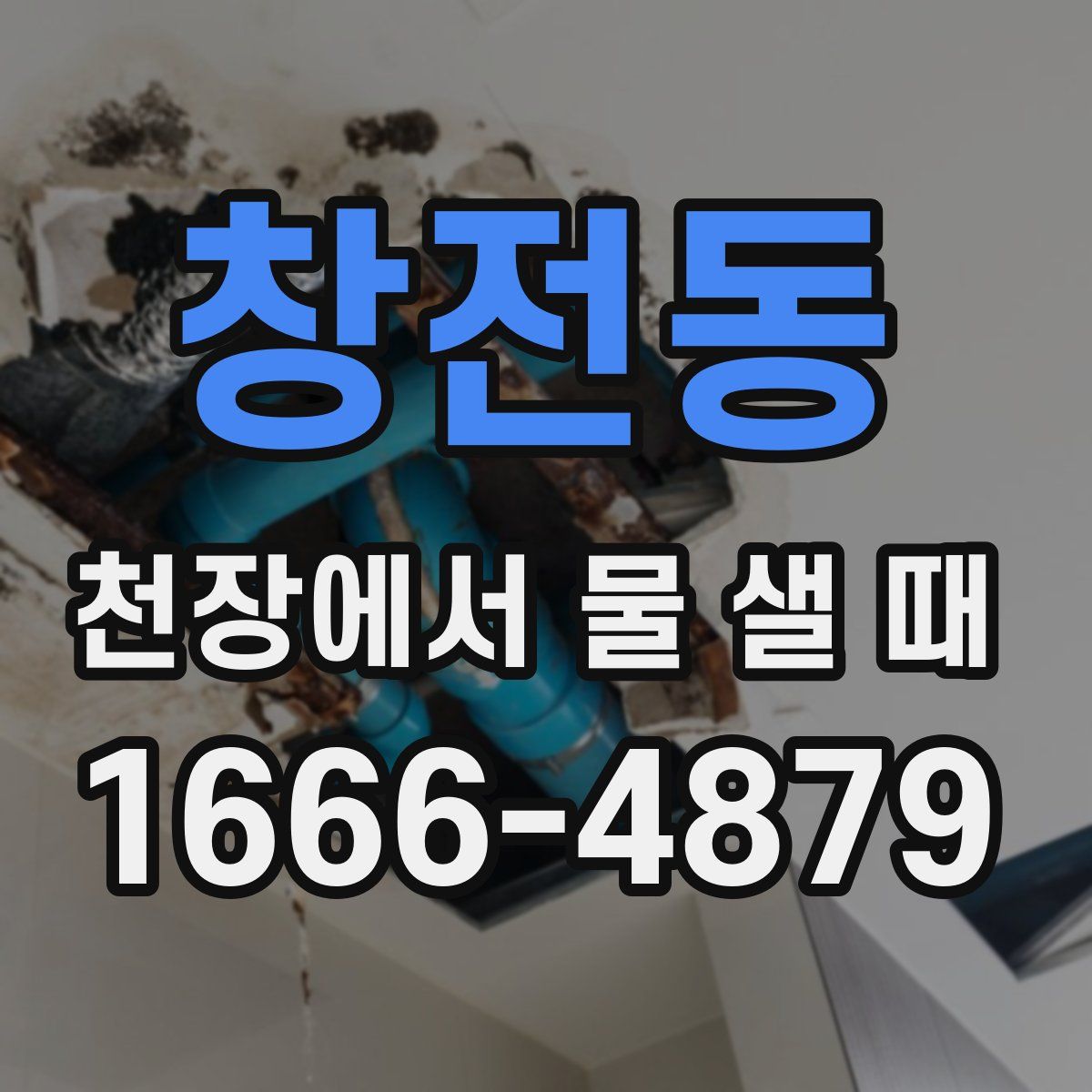 창전동 천장에서 물 샐 때