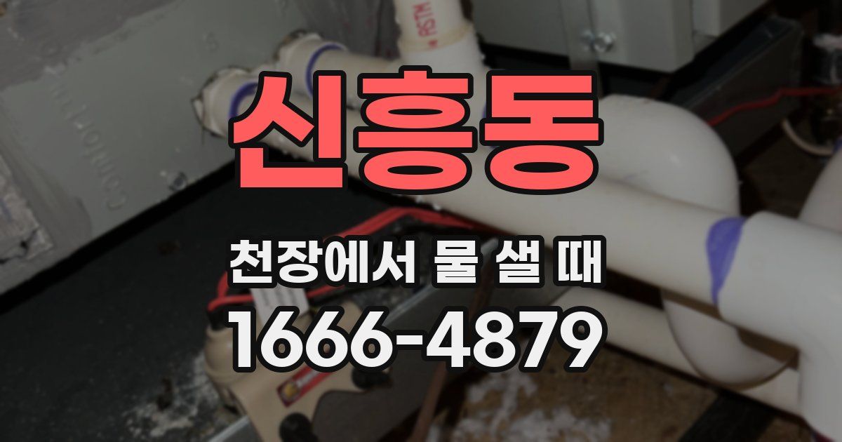 신흥동 천장에서 물 샐 때