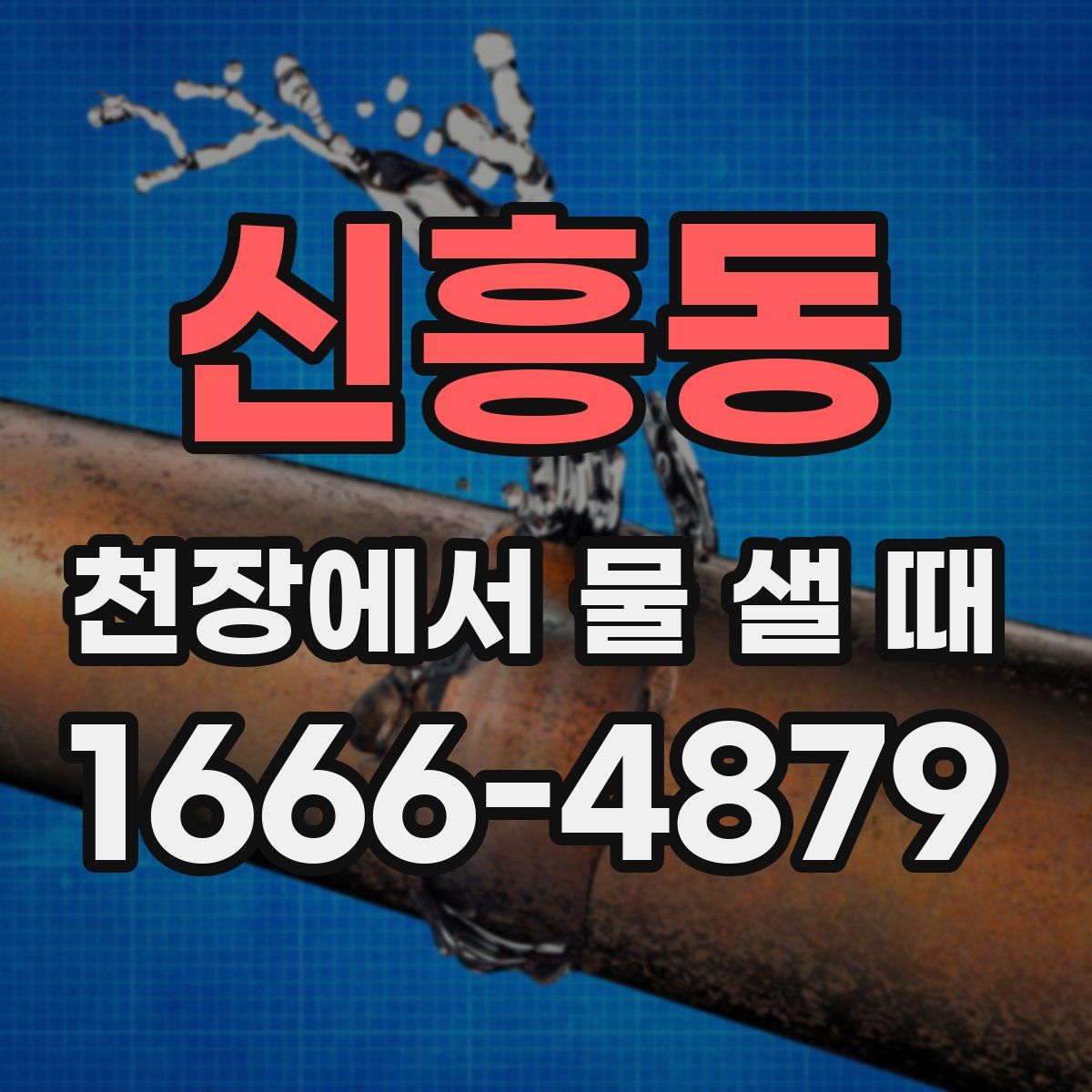 신흥동 천장에서 물 샐 때