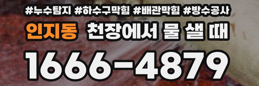 인지동 천장에서 물 샐 때