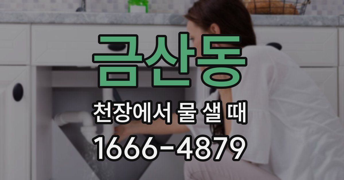 금산동 천장에서 물 샐 때