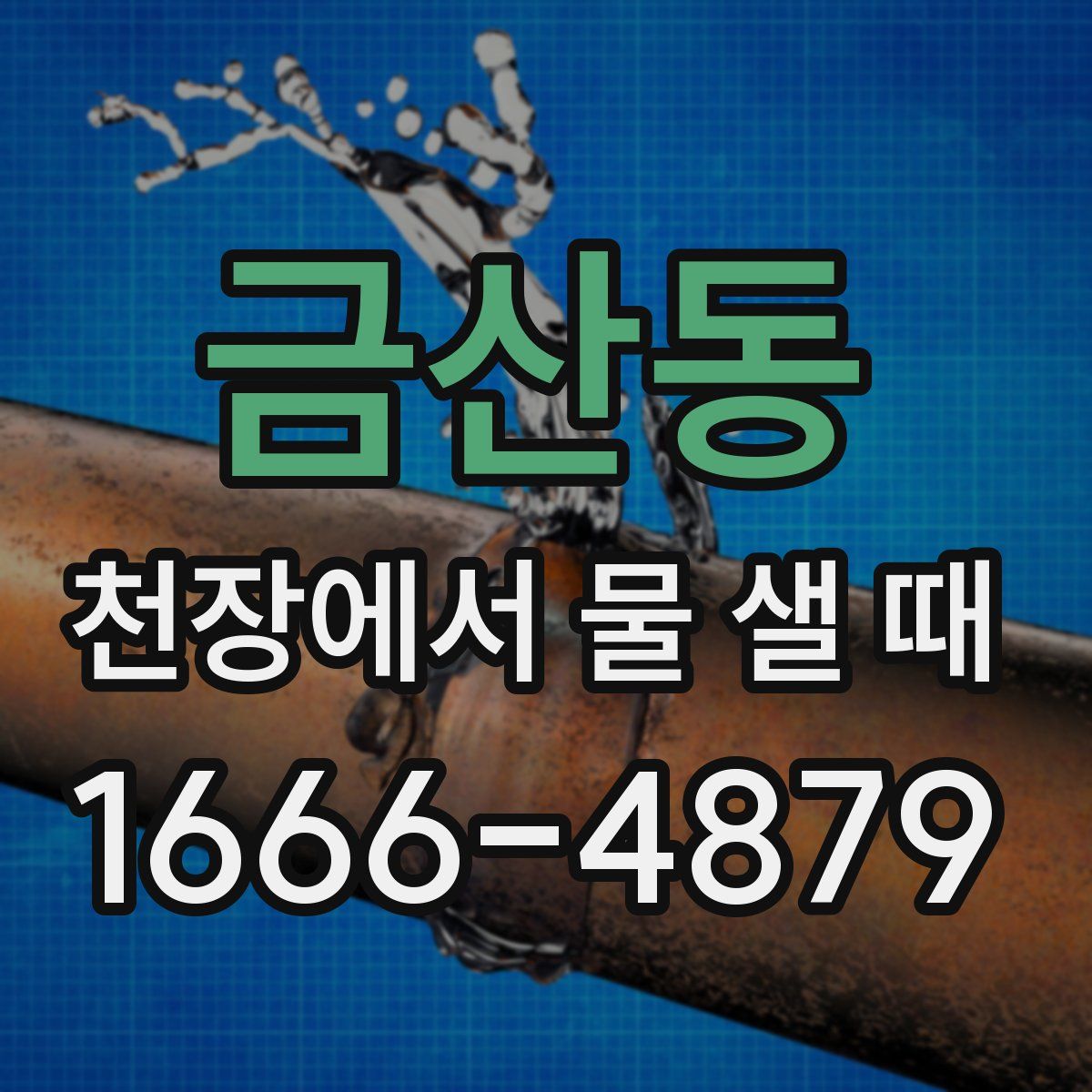 금산동 천장에서 물 샐 때