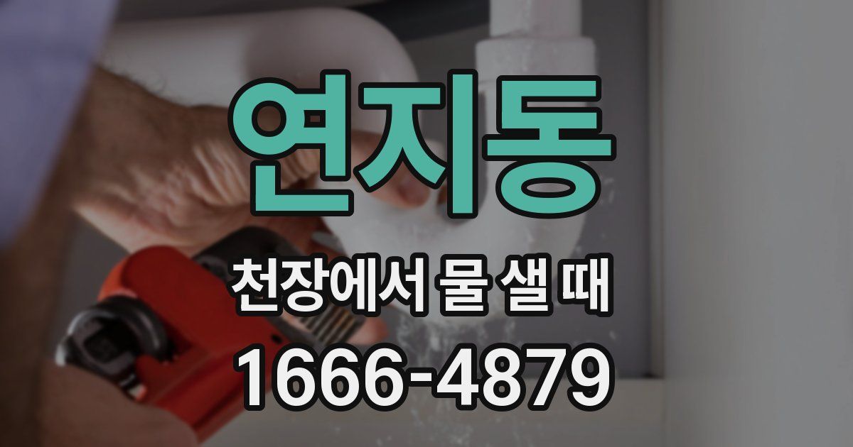 연지동 천장에서 물 샐 때