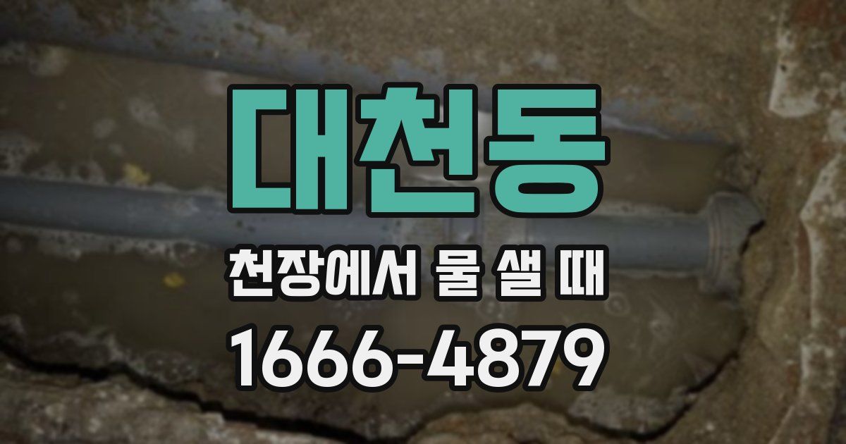 대천동 천장에서 물 샐 때