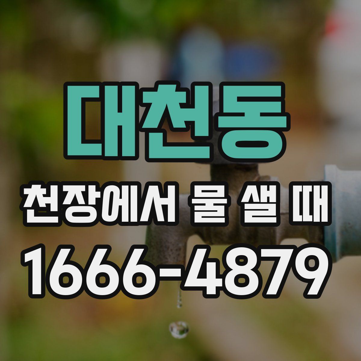 대천동 천장에서 물 샐 때