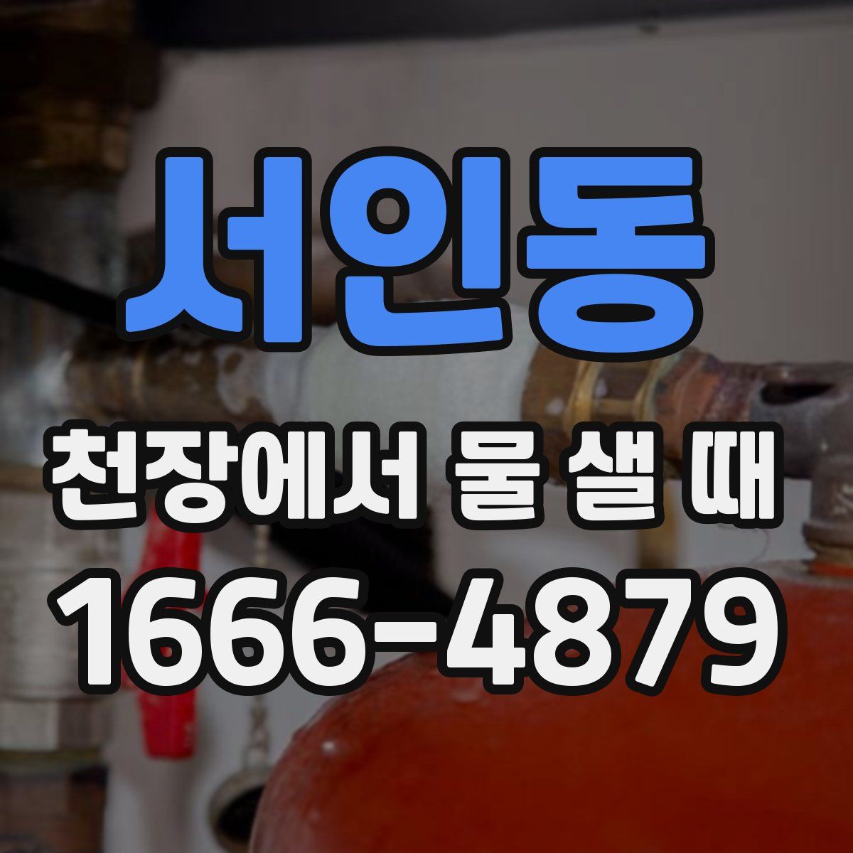 서인동 천장에서 물 샐 때