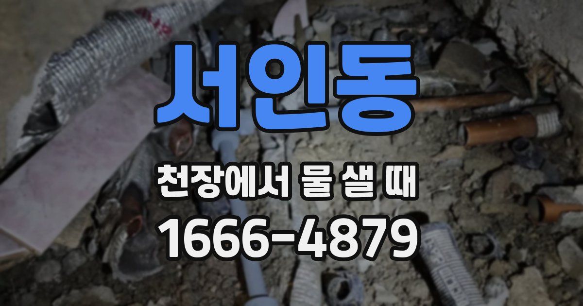 서인동 천장에서 물 샐 때