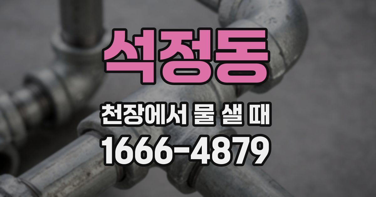 석정동 천장에서 물 샐 때