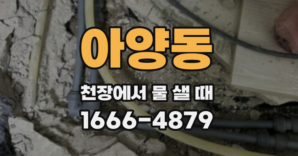 아양동 천장에서 물 샐 때