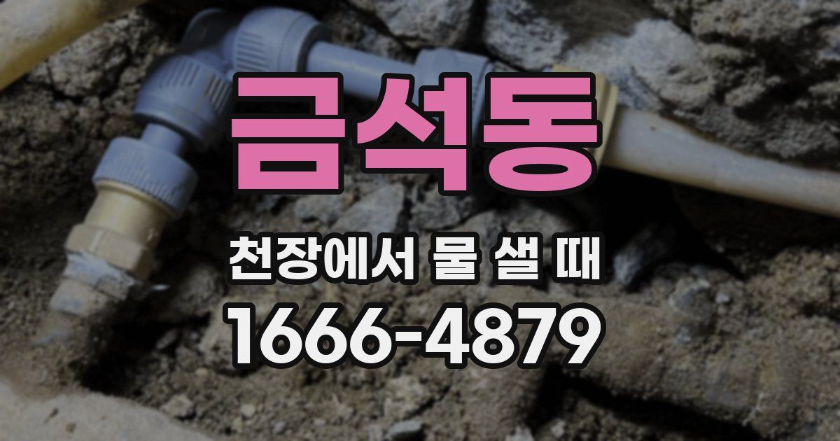금석동 천장에서 물 샐 때