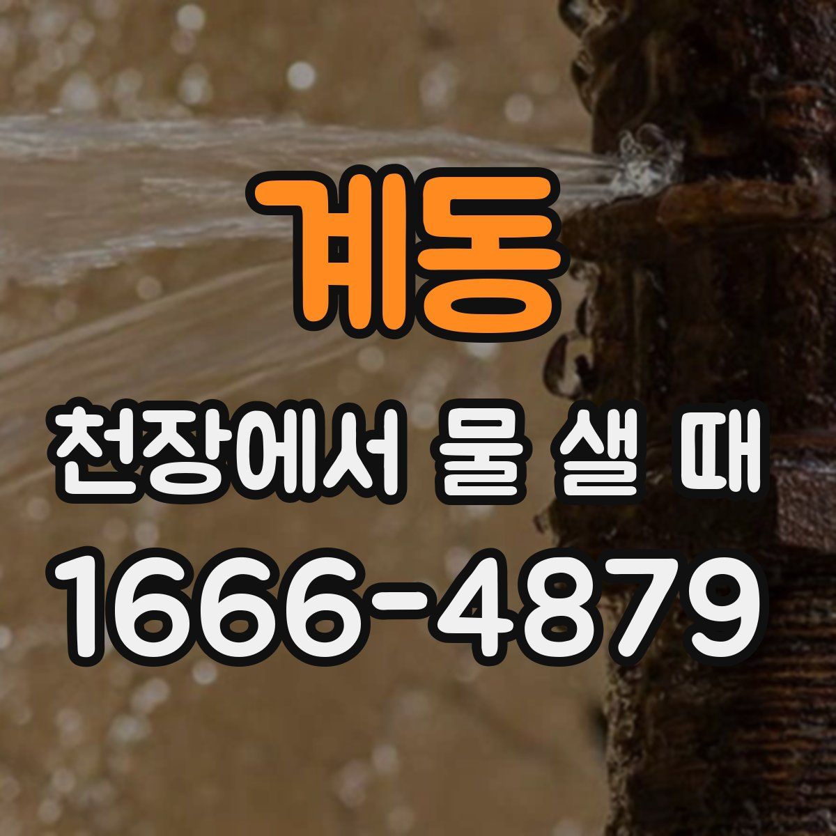 계동 천장에서 물 샐 때
